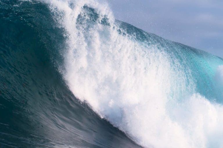 Mastering the Art of Reading Waves for Perfect Surfing Spots